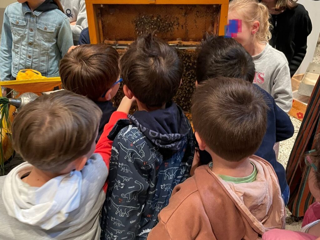 iniziativa_salviamo_le_api_san_casciano_mercatale_cerbaia (3)