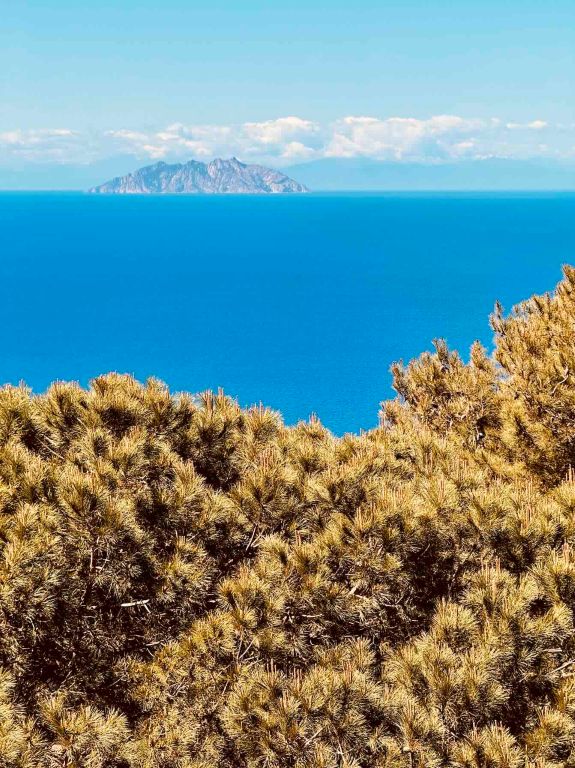 Isola_Giglio_Castello_3