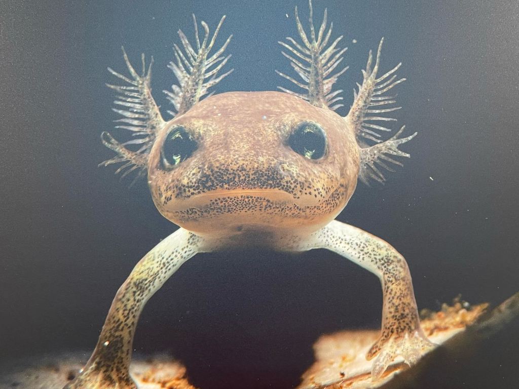 i_colori_nel_blu_mostra_fotografica_mare_toscano_palazzo_pegaso_spazio_ciampi (11)