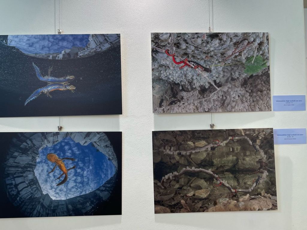 i_colori_nel_blu_mostra_fotografica_mare_toscano_palazzo_pegaso_spazio_ciampi (13)