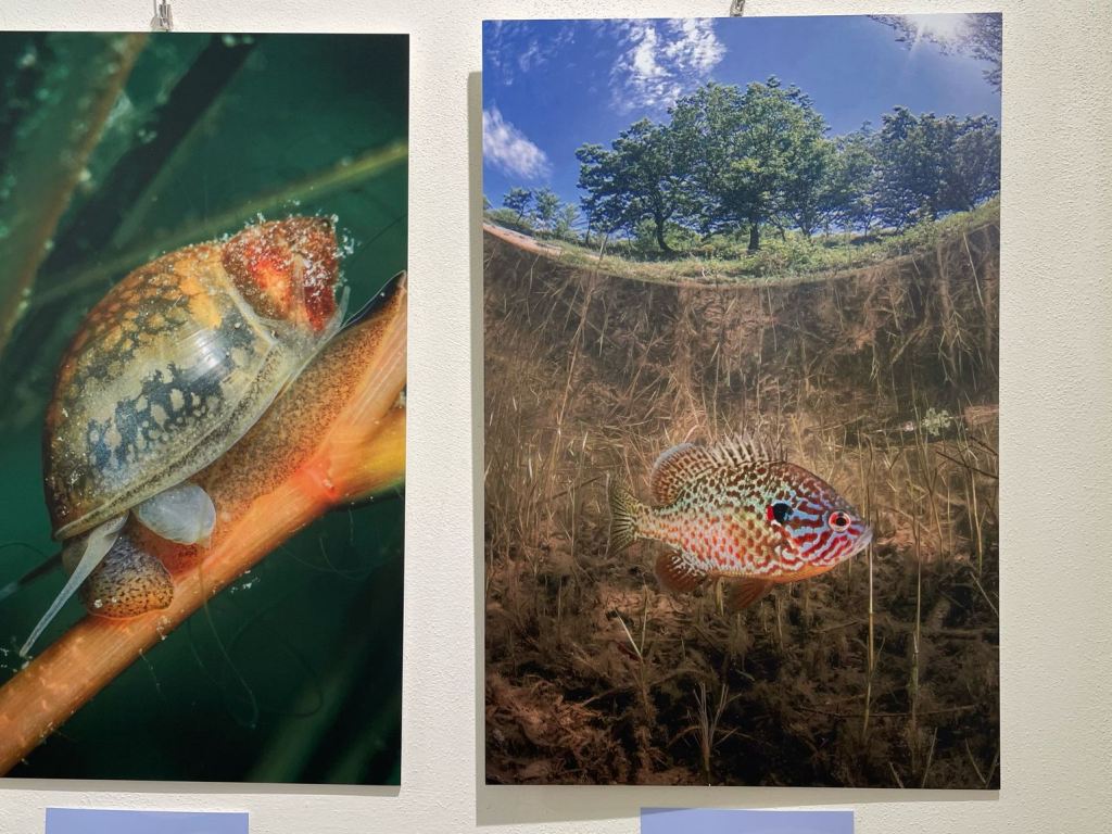 i_colori_nel_blu_mostra_fotografica_mare_toscano_palazzo_pegaso_spazio_ciampi (14)