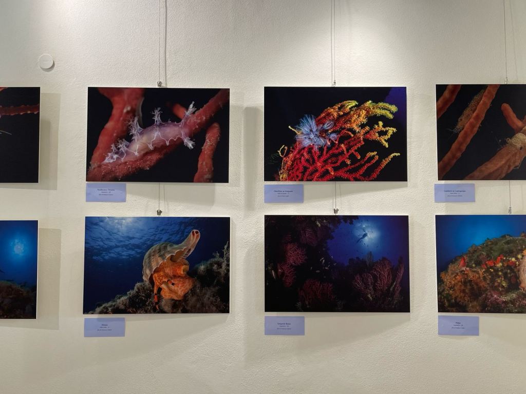 i_colori_nel_blu_mostra_fotografica_mare_toscano_palazzo_pegaso_spazio_ciampi (6)