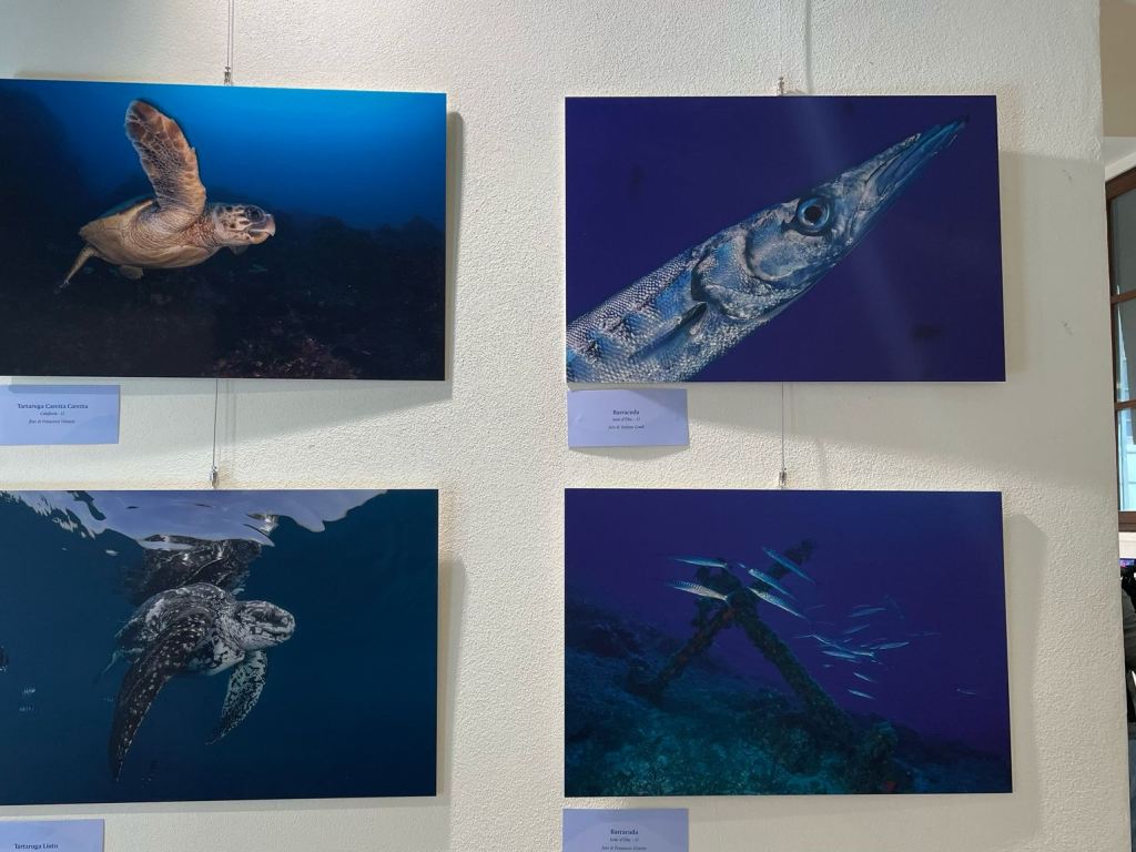 i_colori_nel_blu_mostra_fotografica_mare_toscano_palazzo_pegaso_spazio_ciampi (8)