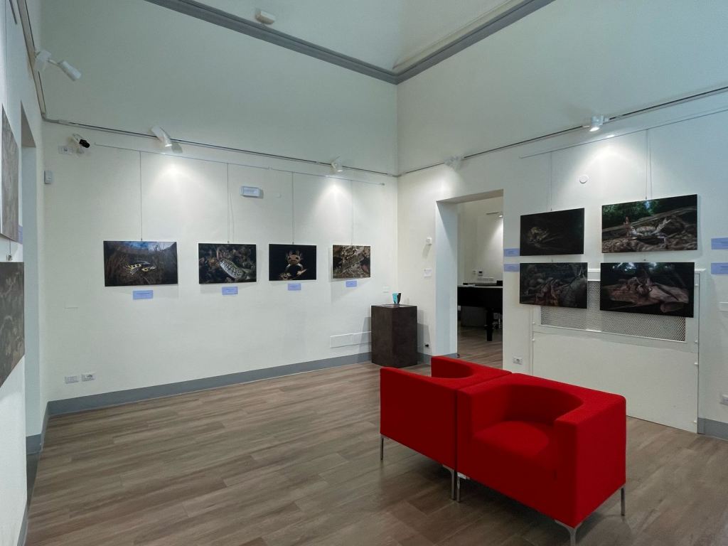 i_colori_nel_blu_mostra_fotografica_mare_toscano_palazzo_pegaso_spazio_ciampi (9)