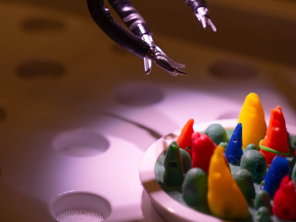 robot_da_vinci_careggi_fondazione-cr_firenze_2025 (4)