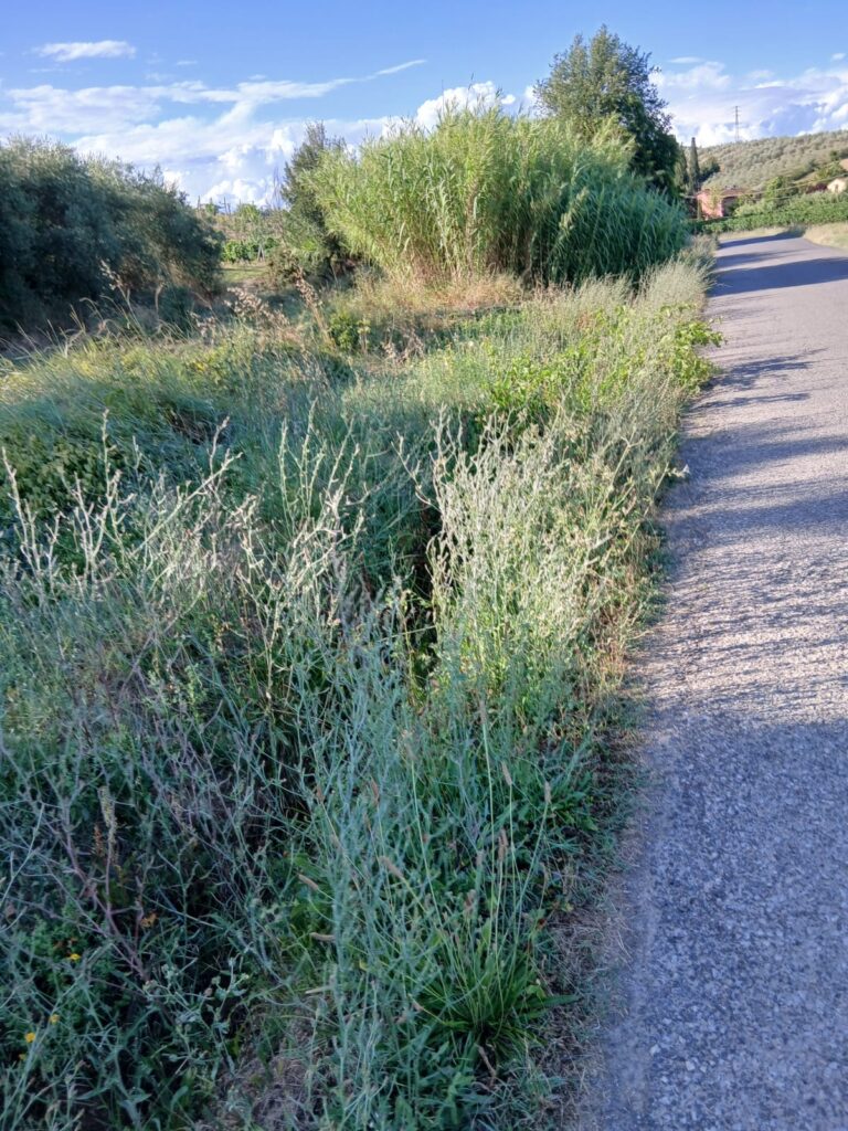 0944fc68-20a3-4c2d-af5c-f5e12d60d477