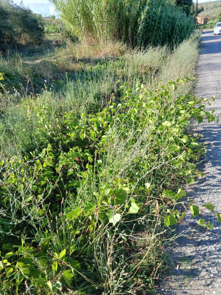 49e9ad14-dc71-4491-b13b-bbb45f118813