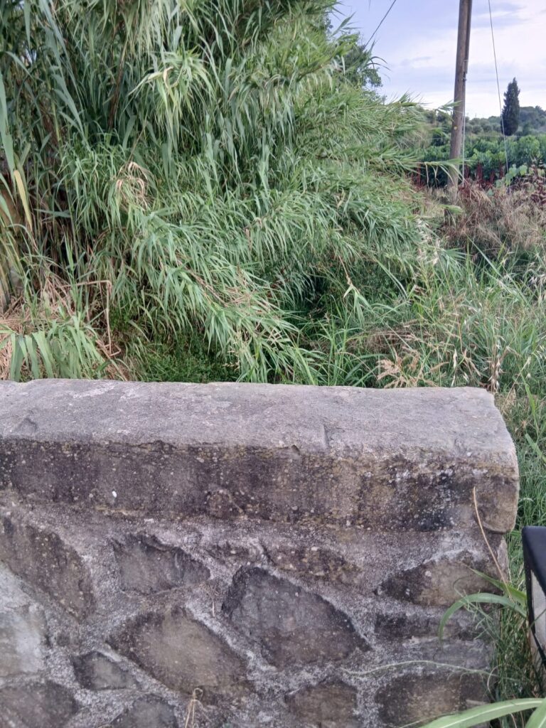 de9ec677-4c0e-49ab-b157-91b18c3ac631