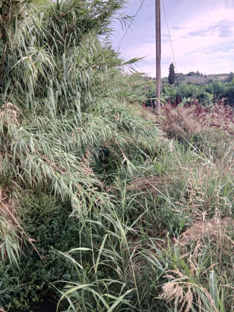 ebb81db9-dedf-4617-b410-1acadd731516