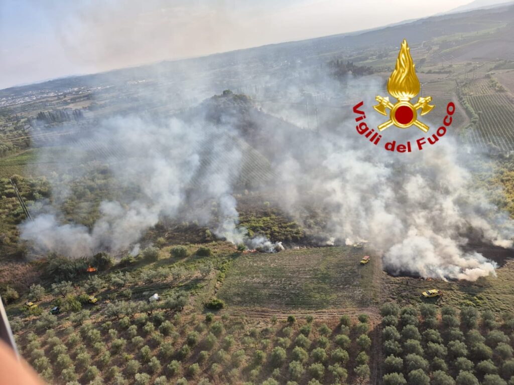 Immagine WhatsApp 2025-08-17 ore 20.05.07_af4d2622