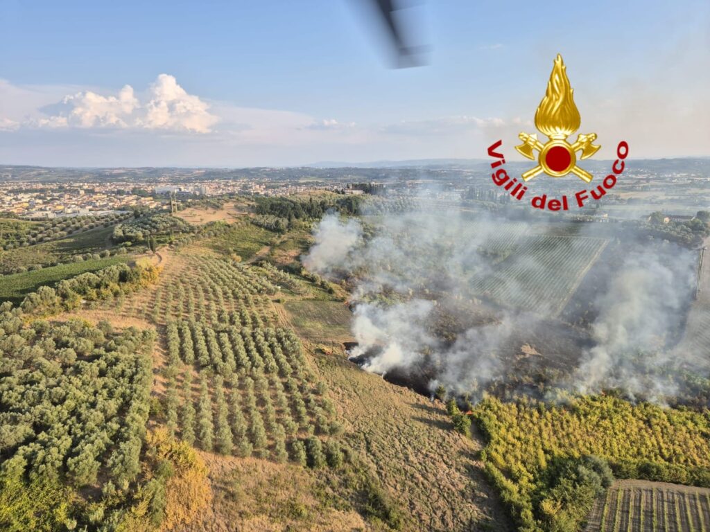 Immagine WhatsApp 2025-08-17 ore 20.05.07_d0c99edb