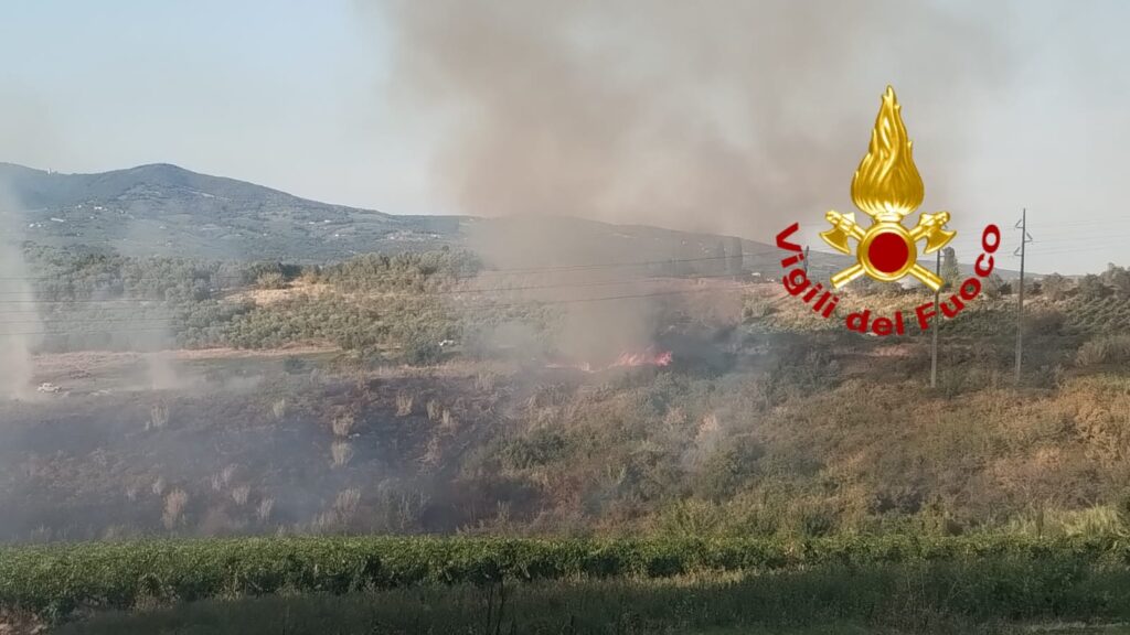 Immagine WhatsApp 2025-08-17 ore 20.05.08_259fe3b2