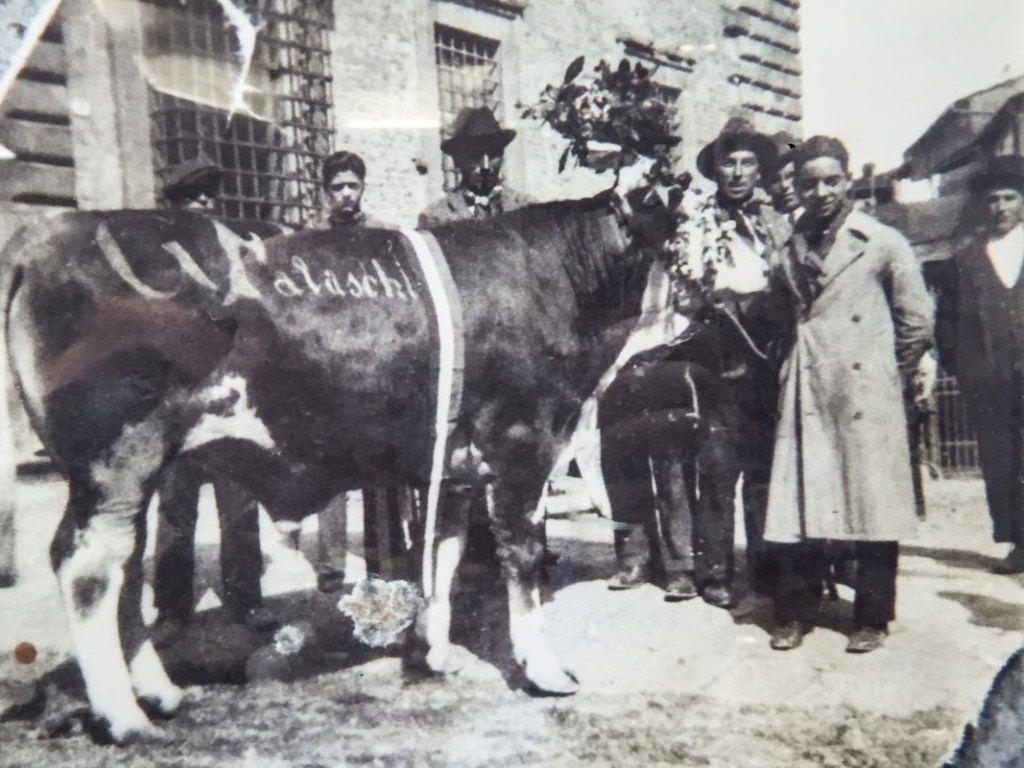 bruno e vasco falaschi 1