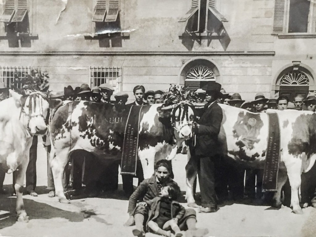 bruno e vasco falaschi