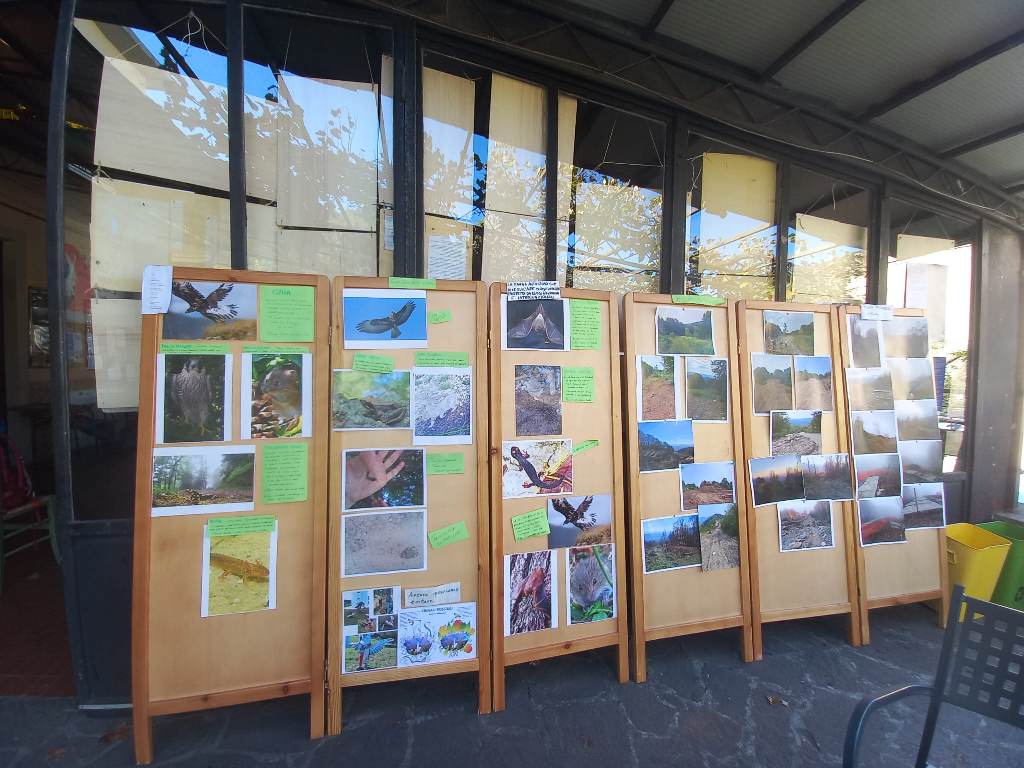 convegno-tess-contro-eolico-appennino-20-settembre-castagno-d-andrea-san-godenzo (5)