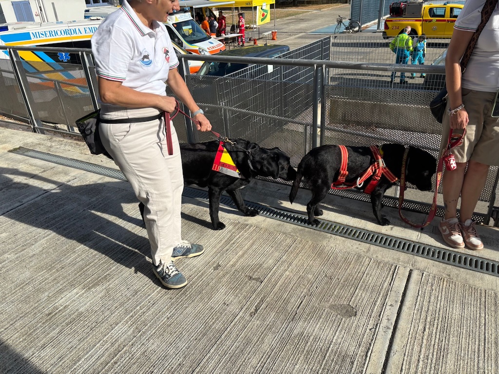 evacuazione ordigno bellico