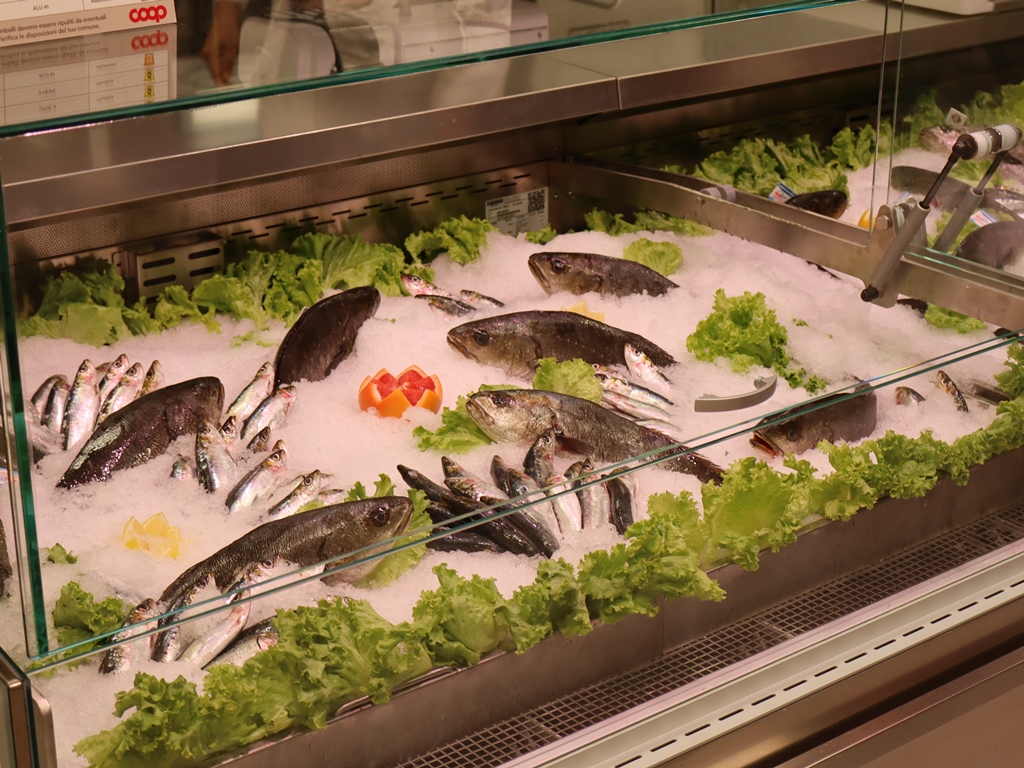 COOP-via-susini-2-ottobre-2025 (59)