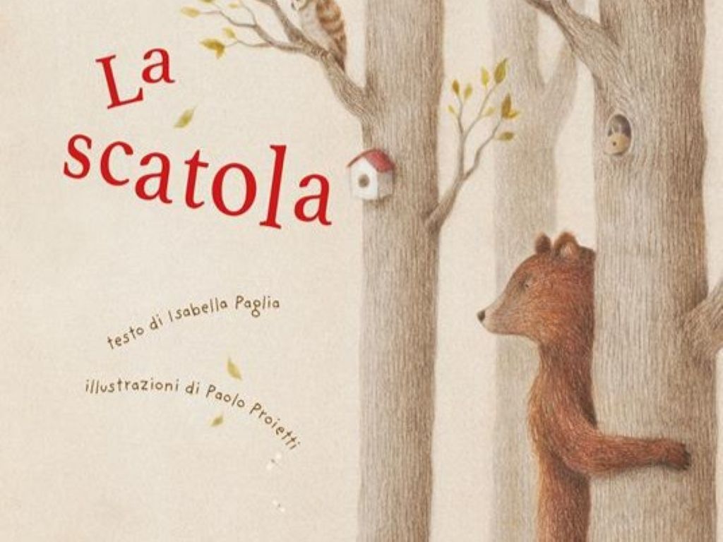 La scatola copertina
