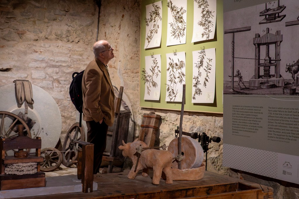 Piccolo museo dell’olio Reggello (2)