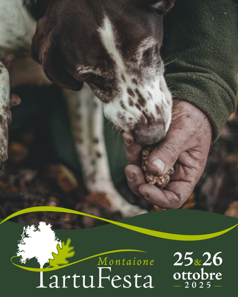 tartufesta-montaione-2025 (3)