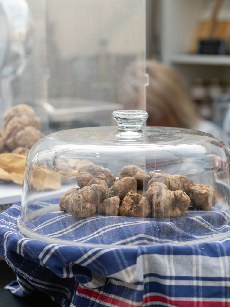 54esima_mostra_mercato_san_miniato_2025 (2)