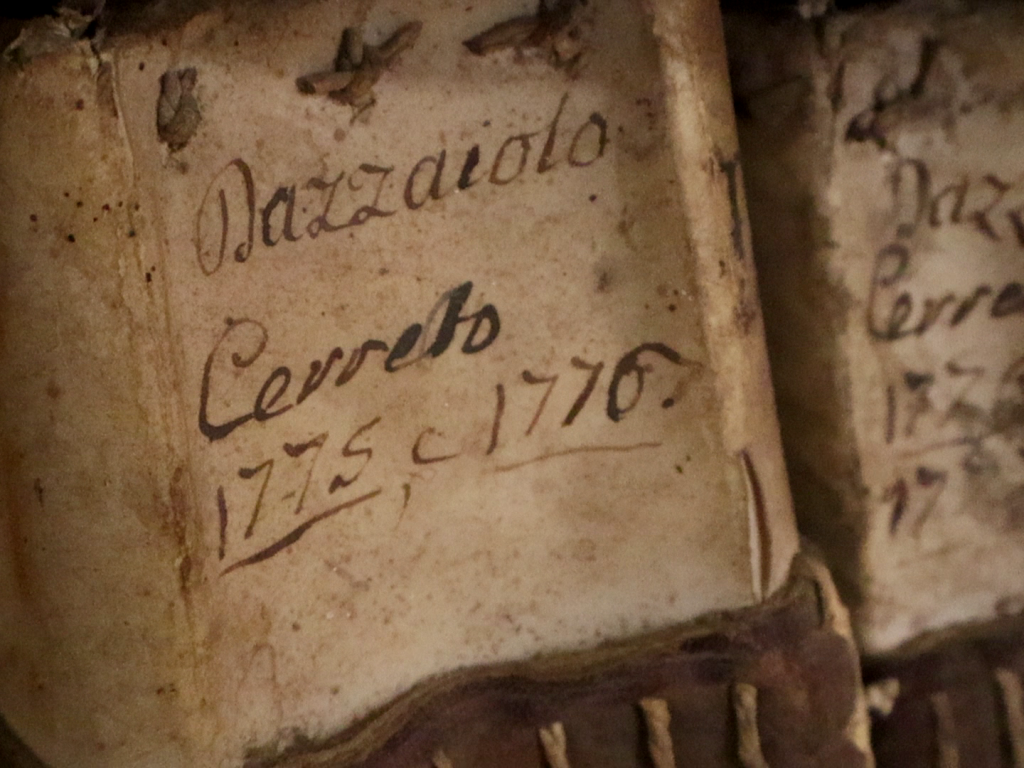 Archivio_storico_Comunale_Cerreto_Guidi_Giovanni_Micheli_2025 (1)