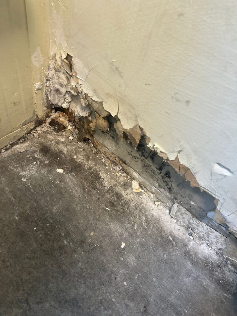 Autogestione Ferraris (3)