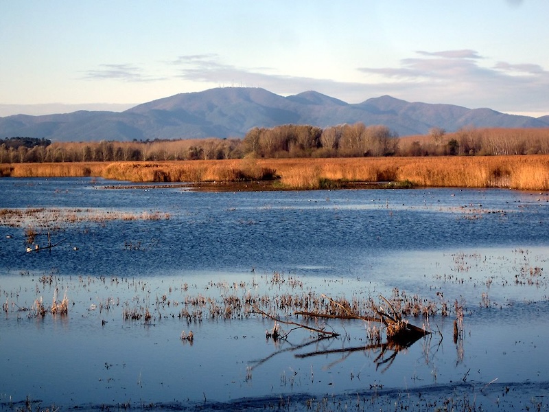 Birdwatching e escursioni in Valdinievole con Legambiente Pistoia: il programma di dicembre