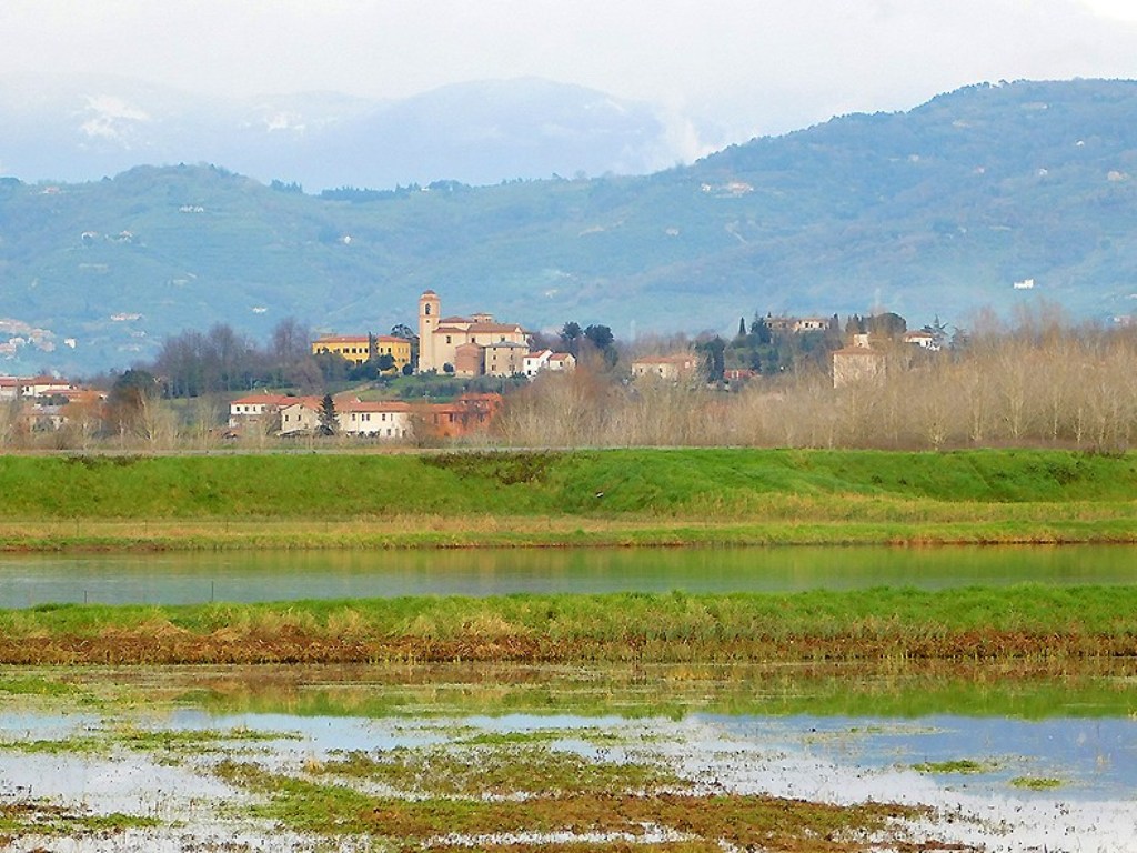 Stabbia (foto Enrico Zarri)
