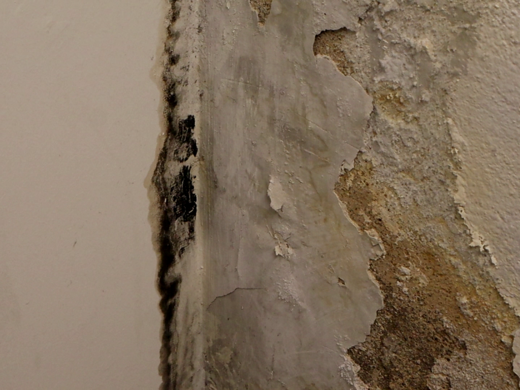 fermi-da-vinci-occupazione-sopralluogo-27-novembre-2025 (2)