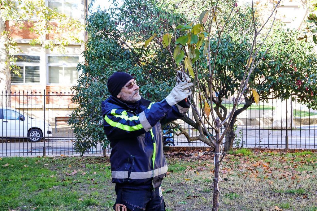 mannucci_giornata_albero_2