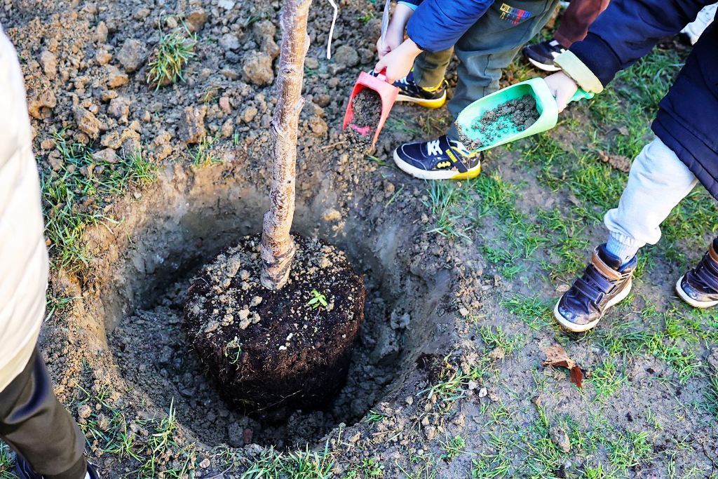 mannucci_giornata_albero_5