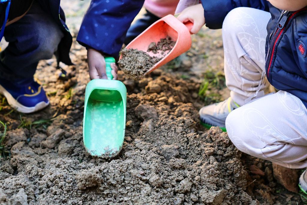 mannucci_giornata_albero_6