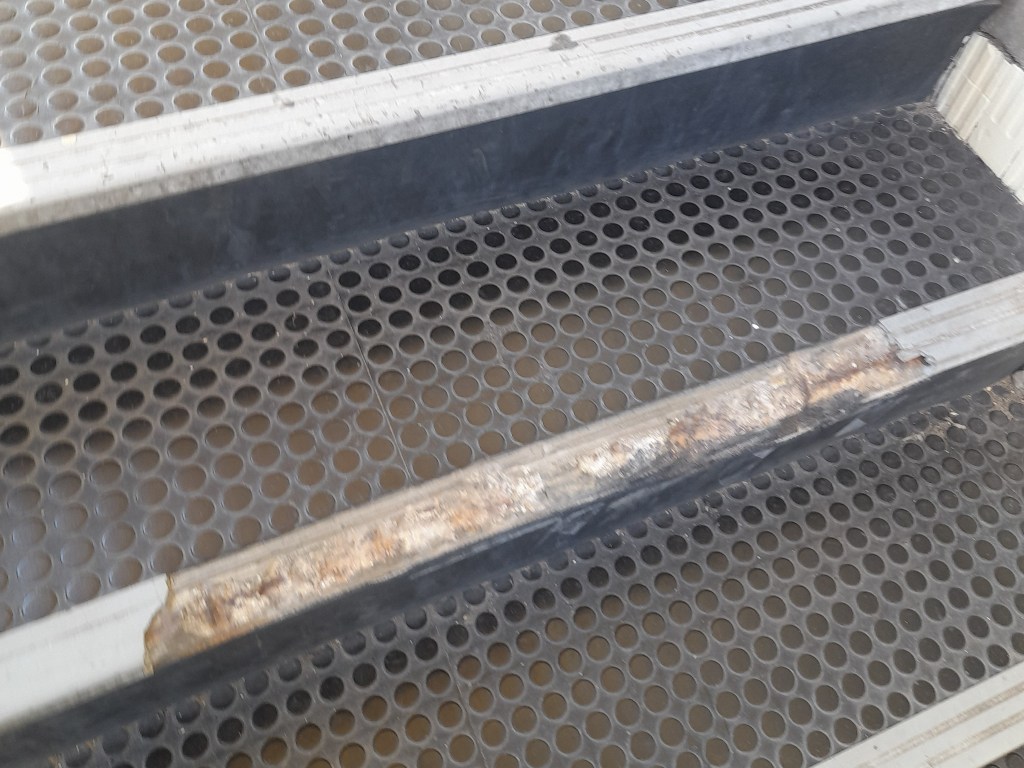 stazione_montelupo-capraia_lavori_fruibilità_forza_italia (6)