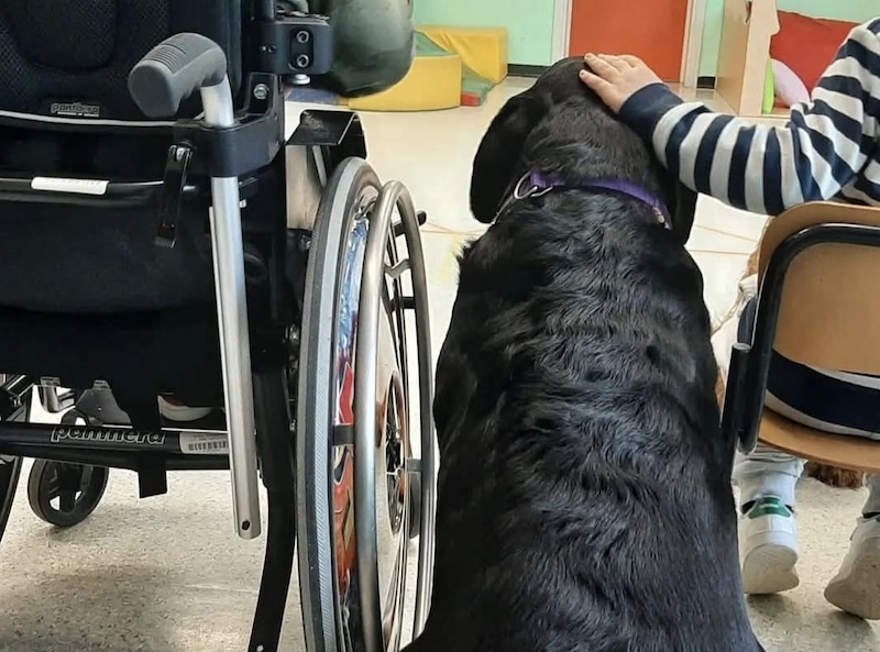 Pet therapy al via nel reparto geriatrico dell'ospedale Santa Maria Annunziata