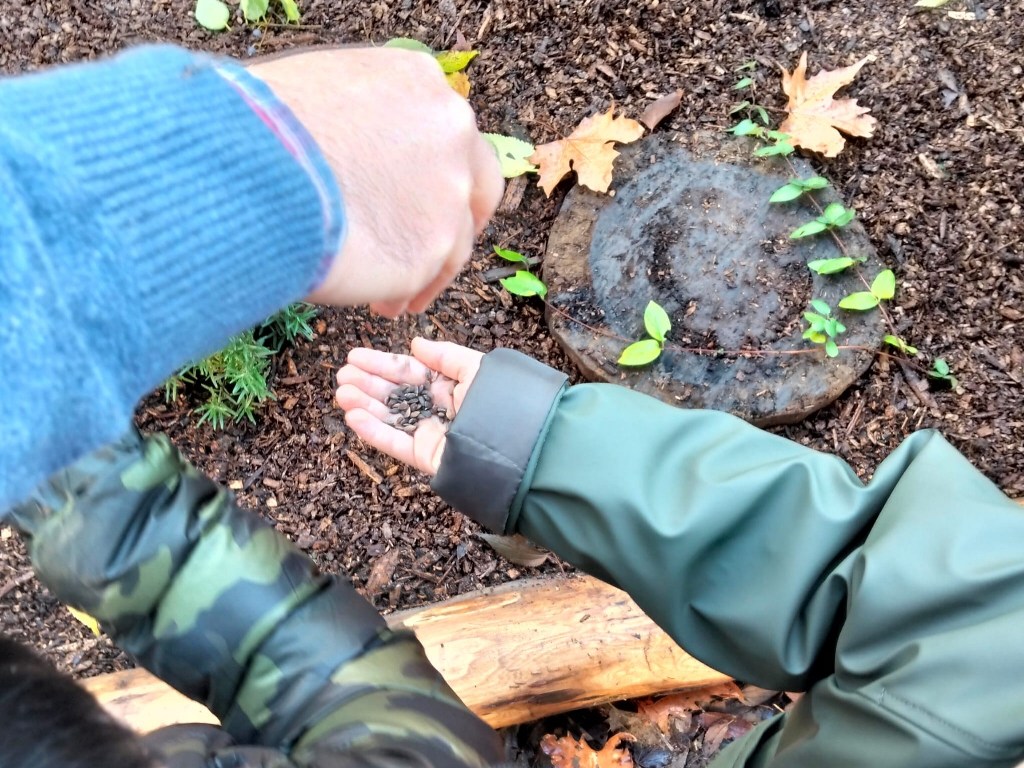 Unicoop_Firenze_bosco_didattico_scuola_primaria_matteotti_firenze (3)