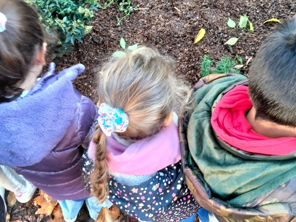 Unicoop_Firenze_bosco_didattico_scuola_primaria_matteotti_firenze (4)