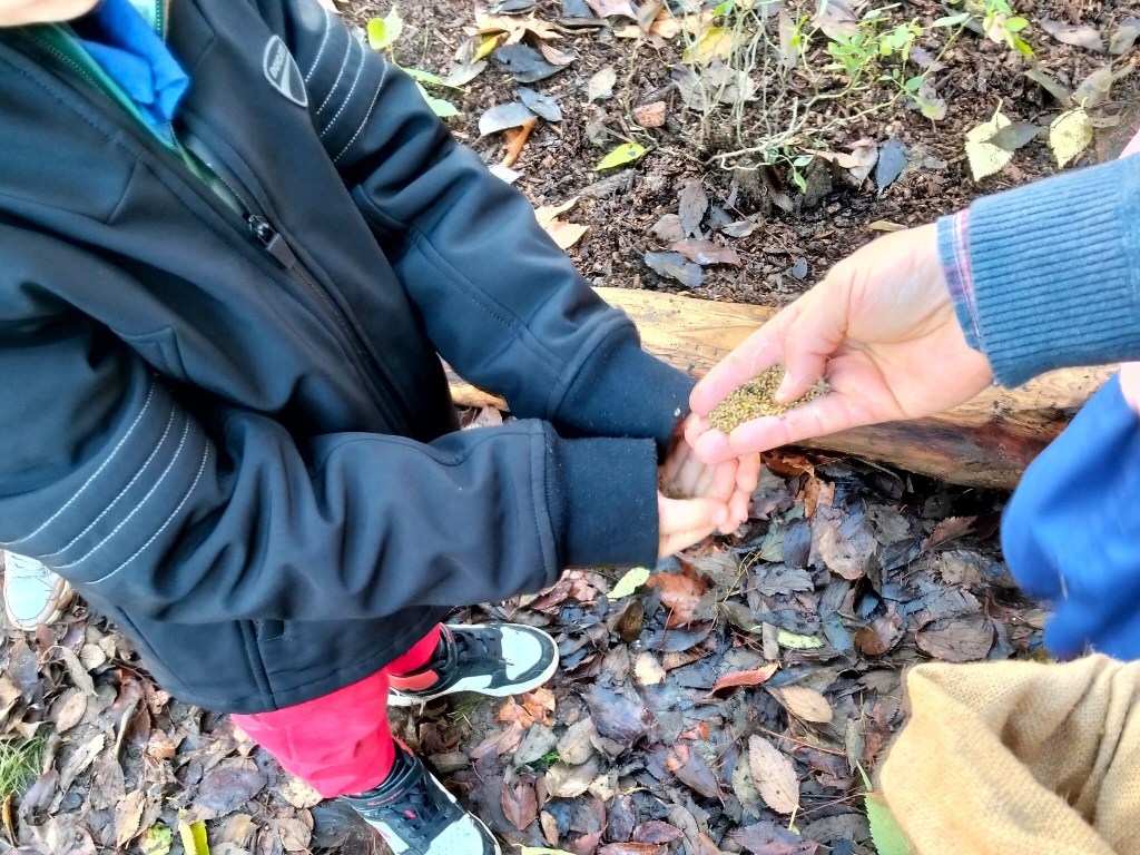 Unicoop_Firenze_bosco_didattico_scuola_primaria_matteotti_firenze (7)