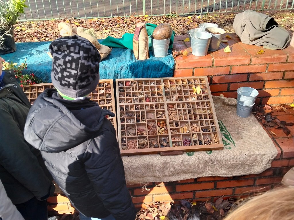 Unicoop_Firenze_bosco_didattico_scuola_primaria_matteotti_firenze (8)