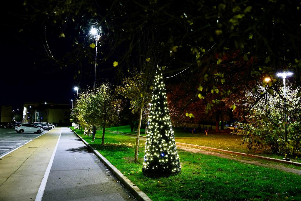 alberi natale cascine