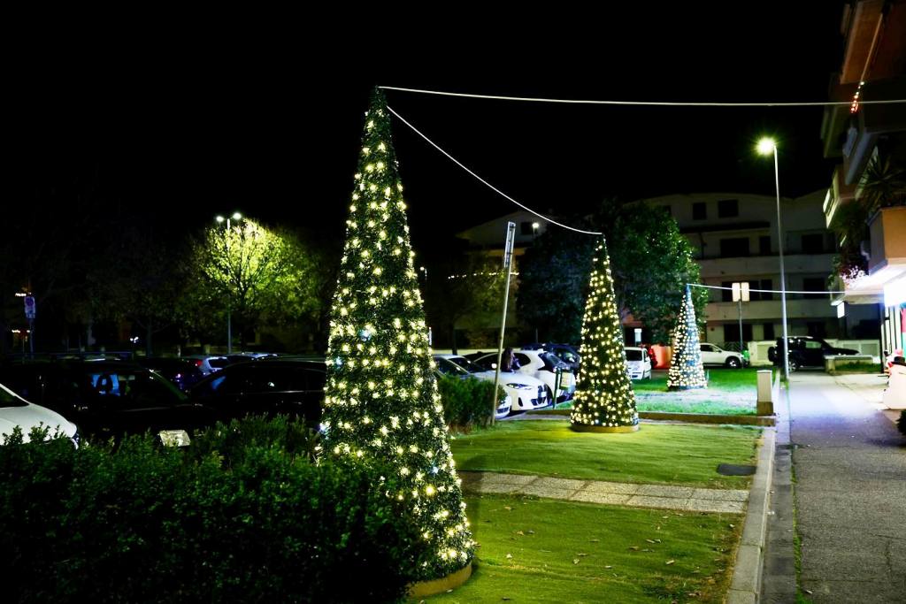 alberi natale ponzano