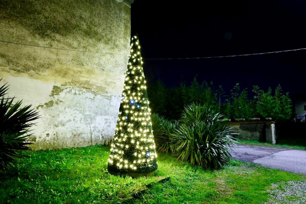albero natale brusciana