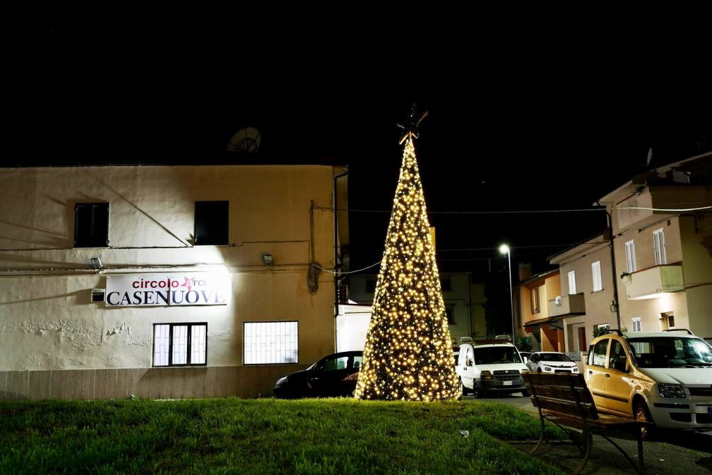albero natale casenuove
