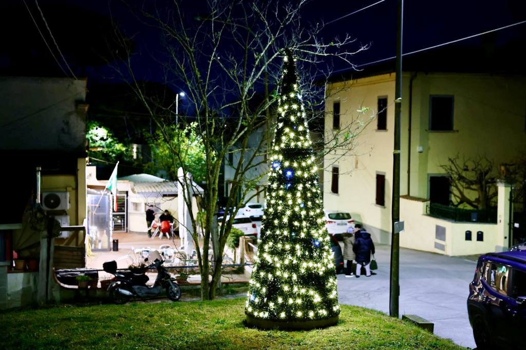 albero natale corniola