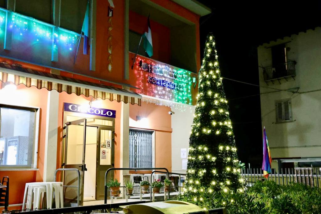 albero natale fontanella