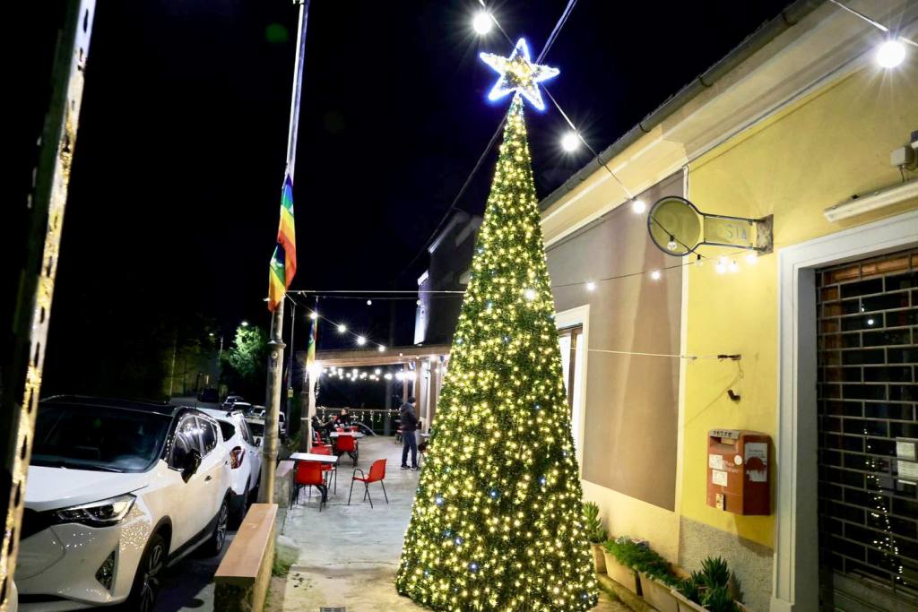 albero natale monterappoli