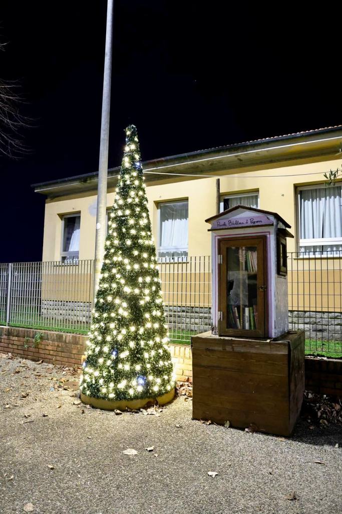 albero natale pagnana