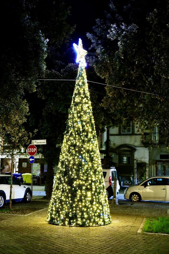 albero natale pontorme