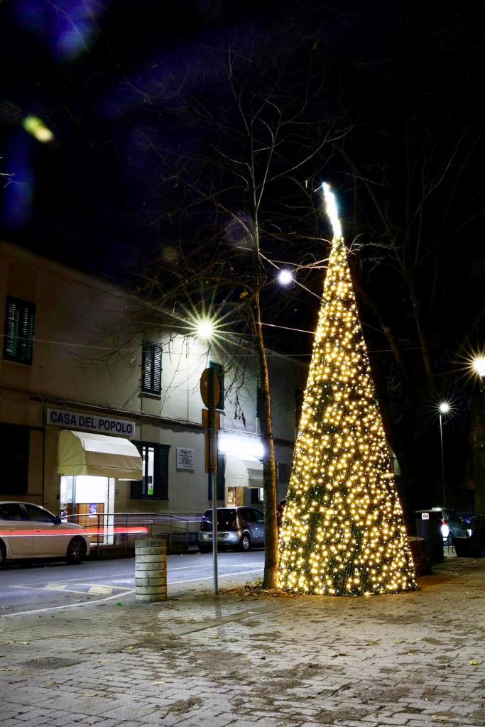 albero natale pozzale