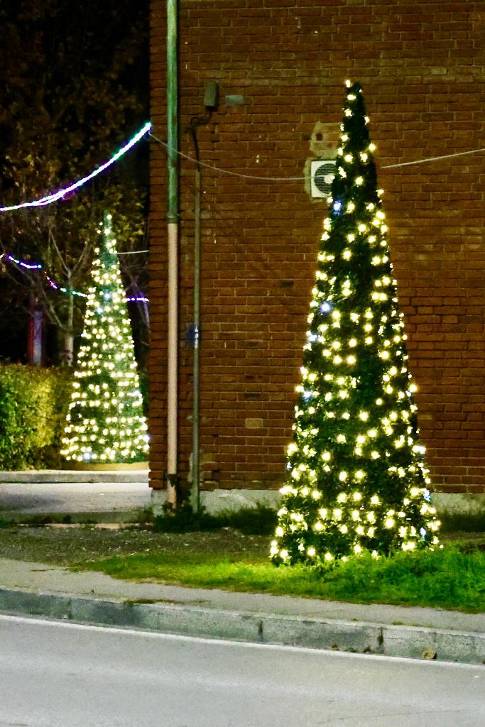 albero natale santandrea